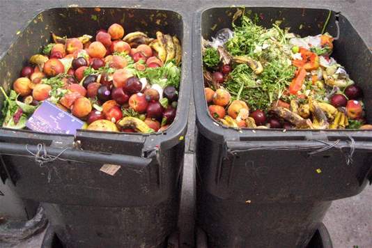 Pourquoi valoriser les déchets agro-alimentaires ?